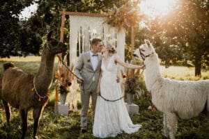 Lama Boho Gartenhochzeit mit Fotobox und Paletten Tischen