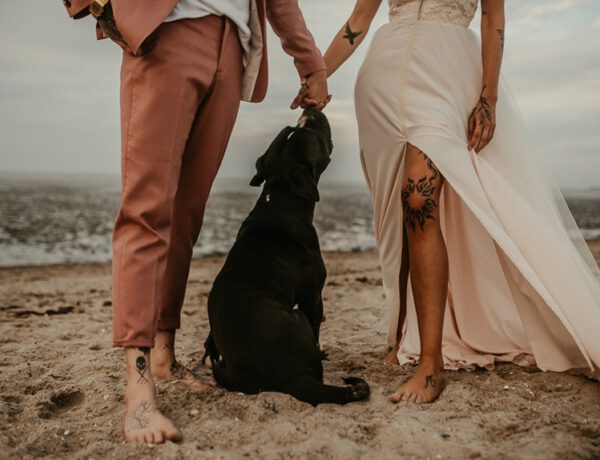 Die besten Hochzeitstermine 2023